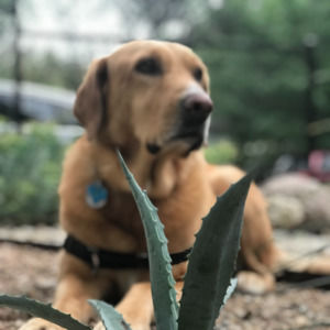 Meet your Posher, Jade